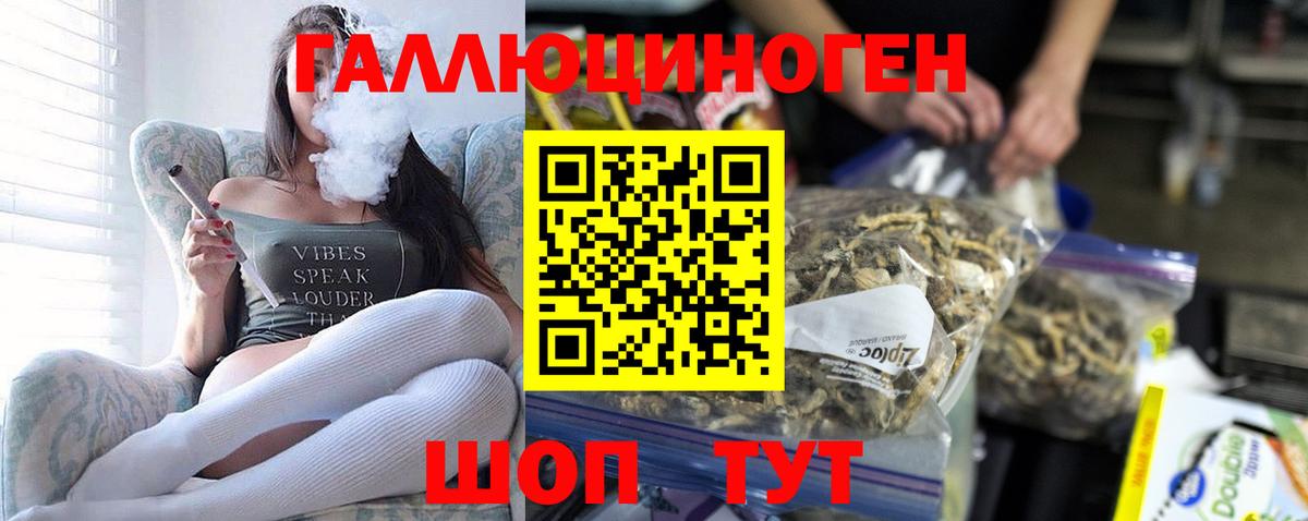 купить закладку  Галлюциногенные грибы Psilocybe  Вход с VPN  Миллерово 